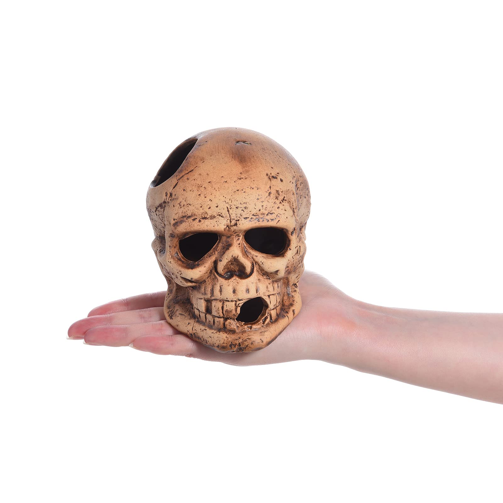 Alegi Aquarium Decoration Hideaway Rock Cave For Betta Shrimp Cichlid Hiding Breeding Spawning (Ceramic Skull)