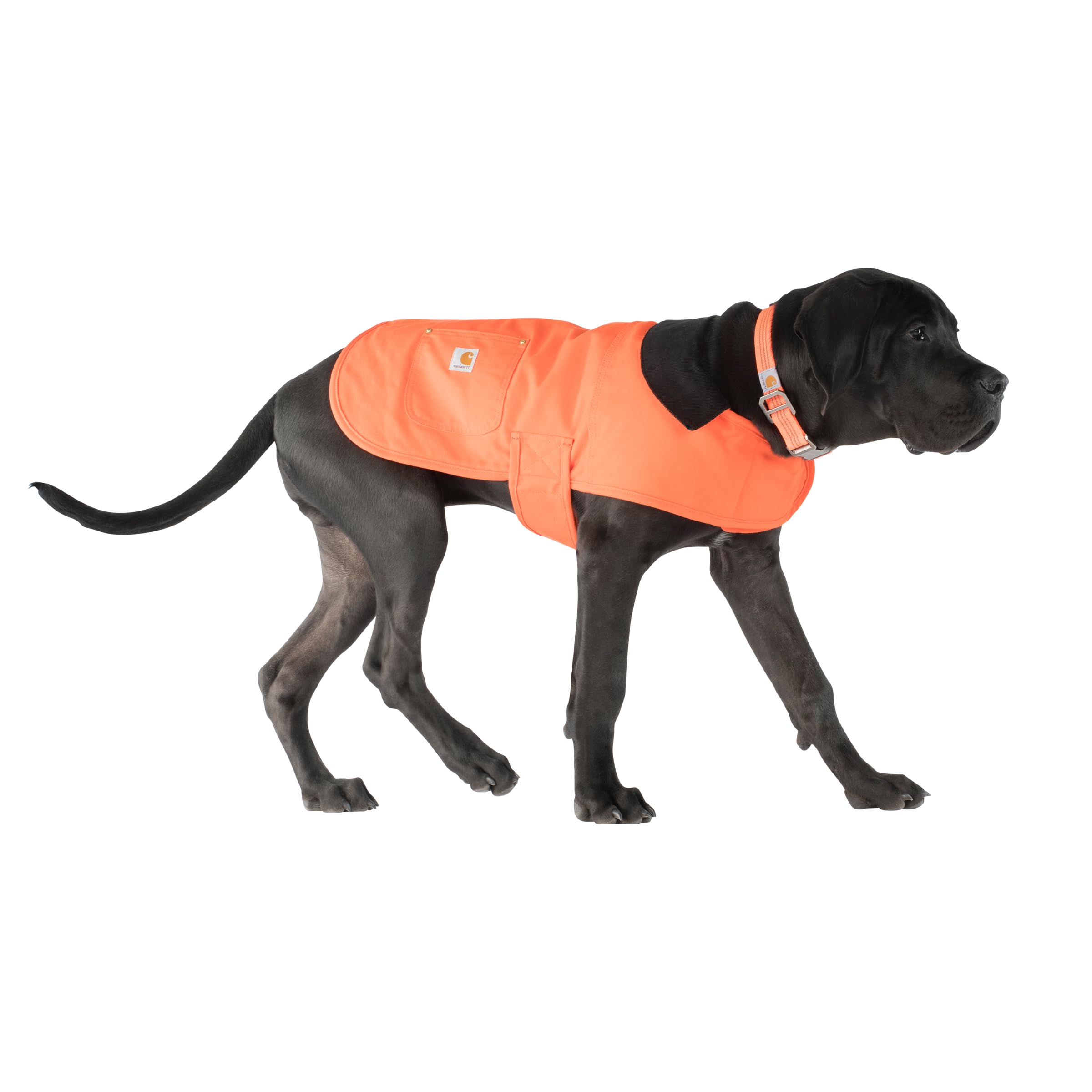 Carhartt Firm Duck Insulated Dog Chore Coat Hunter Orange/Brass, Medium