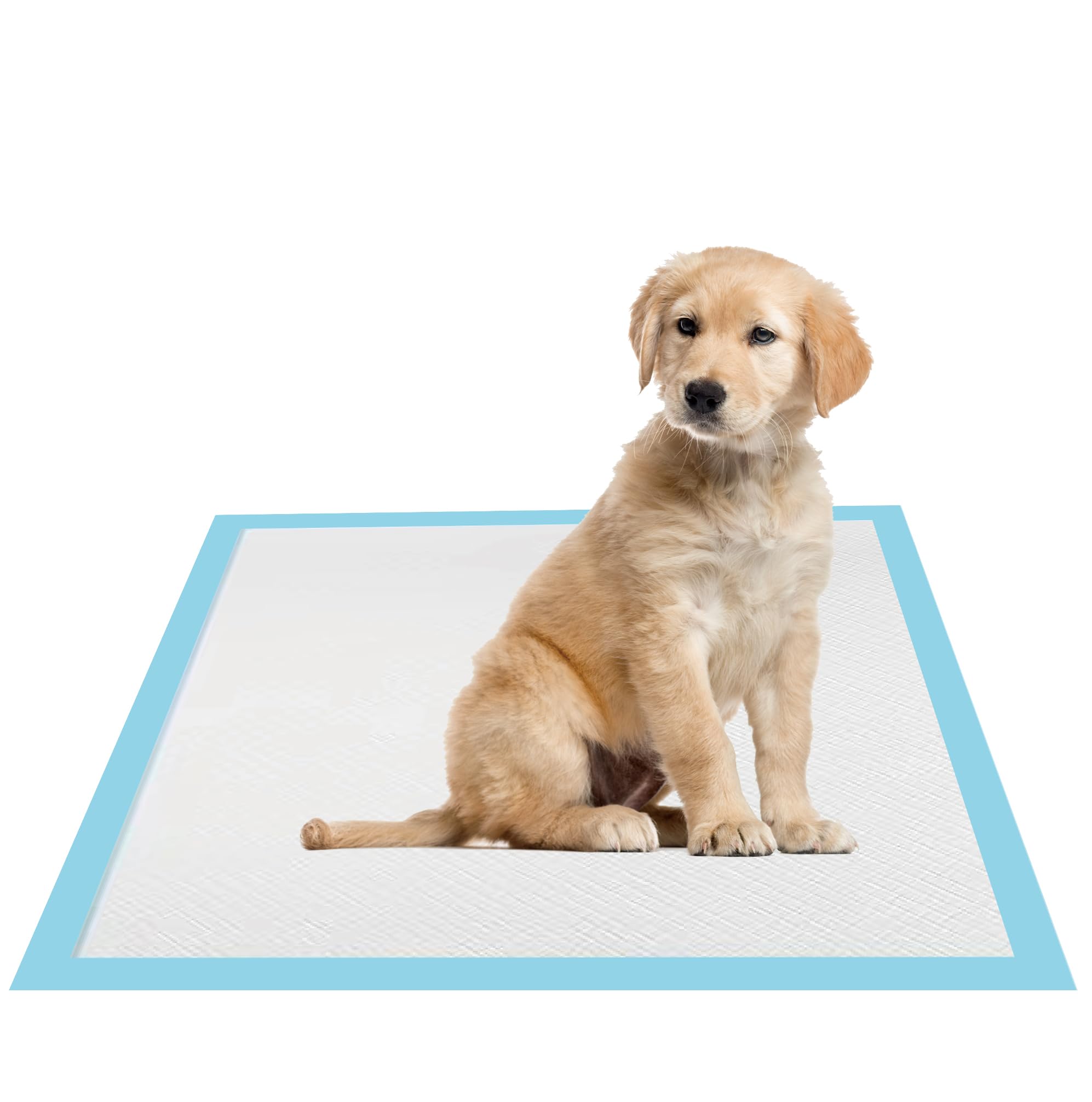 CUNIQUEPETAL 22x22 Dog Pee Pads 100 Count, Charcoal Puppy Pads, Super Absorbent Training Pads, 6-Layer Leak-Proof Puppy Training