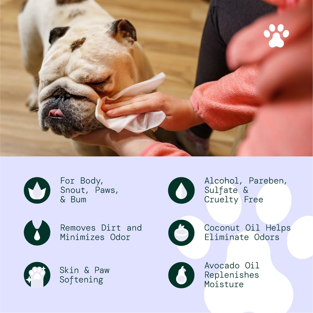 ALO Hypoallergenic Multi-Purpose Pet Wipes, Lavender + Wild Mint, 50ct, All-Natural, 1 Pack