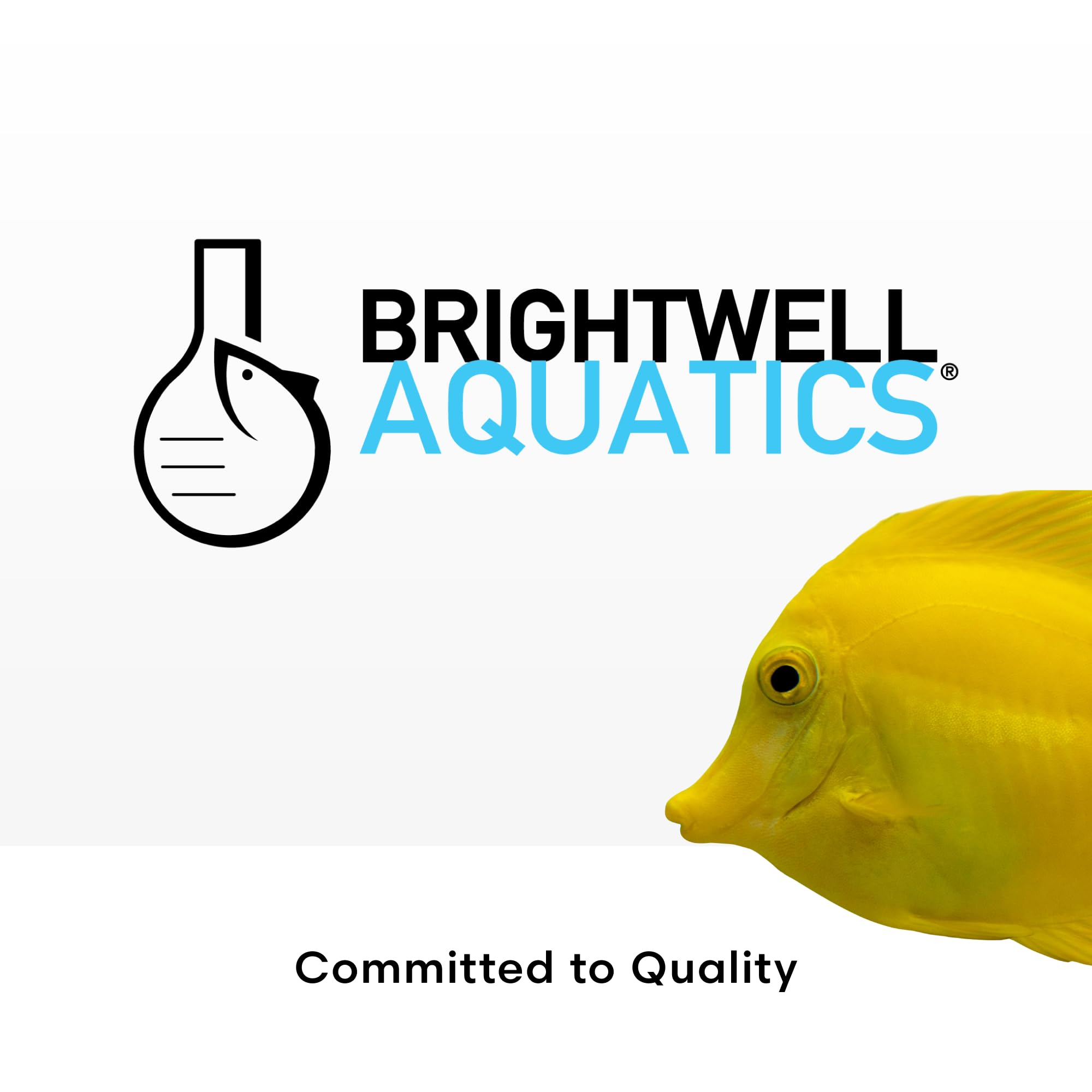 Brightwell Aquatics - Purit Next-Generation Chemical Filtration Media - for use in All Marine and Freshwater Aquaria - Aquarium