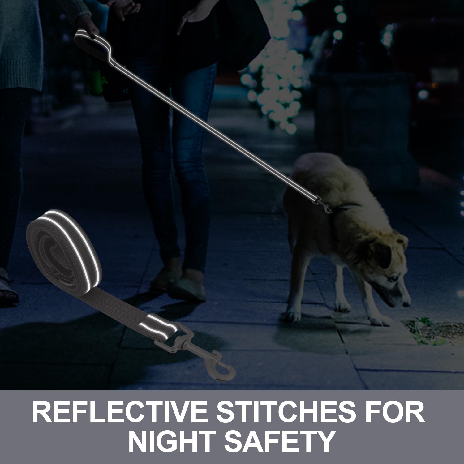 Usunyvora Reflective Nylon Dog Leash For Walking,Strong Dog Leash With Padded Handle For Small And Medium Dogs,4 Ft,Grey