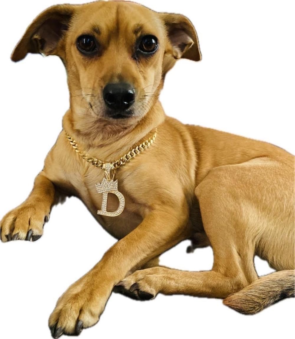 BA UNIQUE FASHION Initial Letter Cuban Chain Dog Chain, 24" Alloy Necklace, Color D, Model PC-1G for Pets, Cats & Puppies