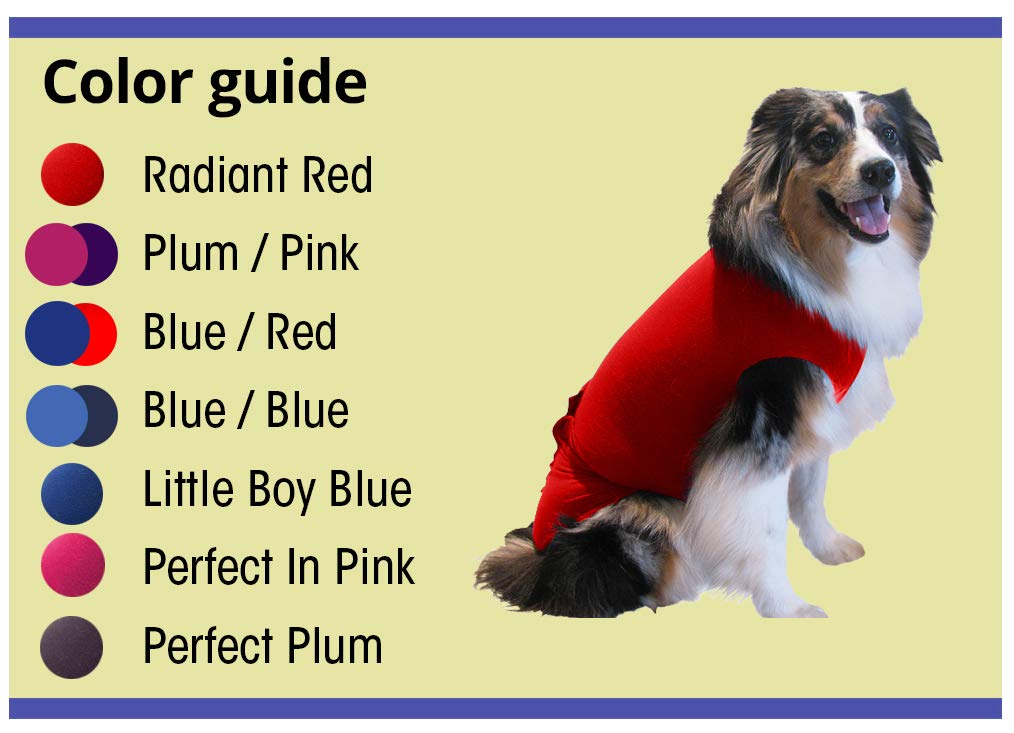 SurgiSnuggly Dog Suspenders for Diapers Female OR Male Disposable Dogggie Diapers Keeper It s A Dog Diaper Holder- Wrap Around