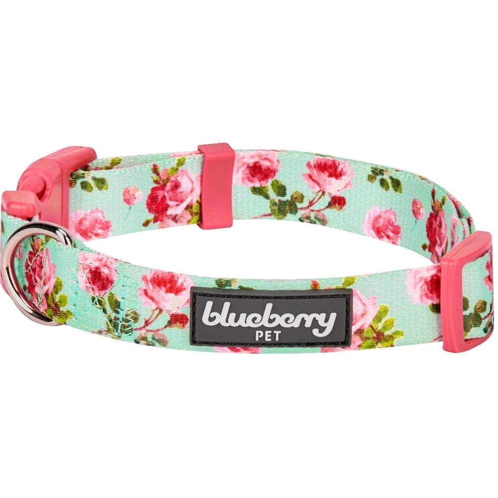 Blueberry Pet 7 Patterns Spring Scent Inspired Floral Rose Print Turquoise Adjustable Dog Collar, Large, Neck 18-26
