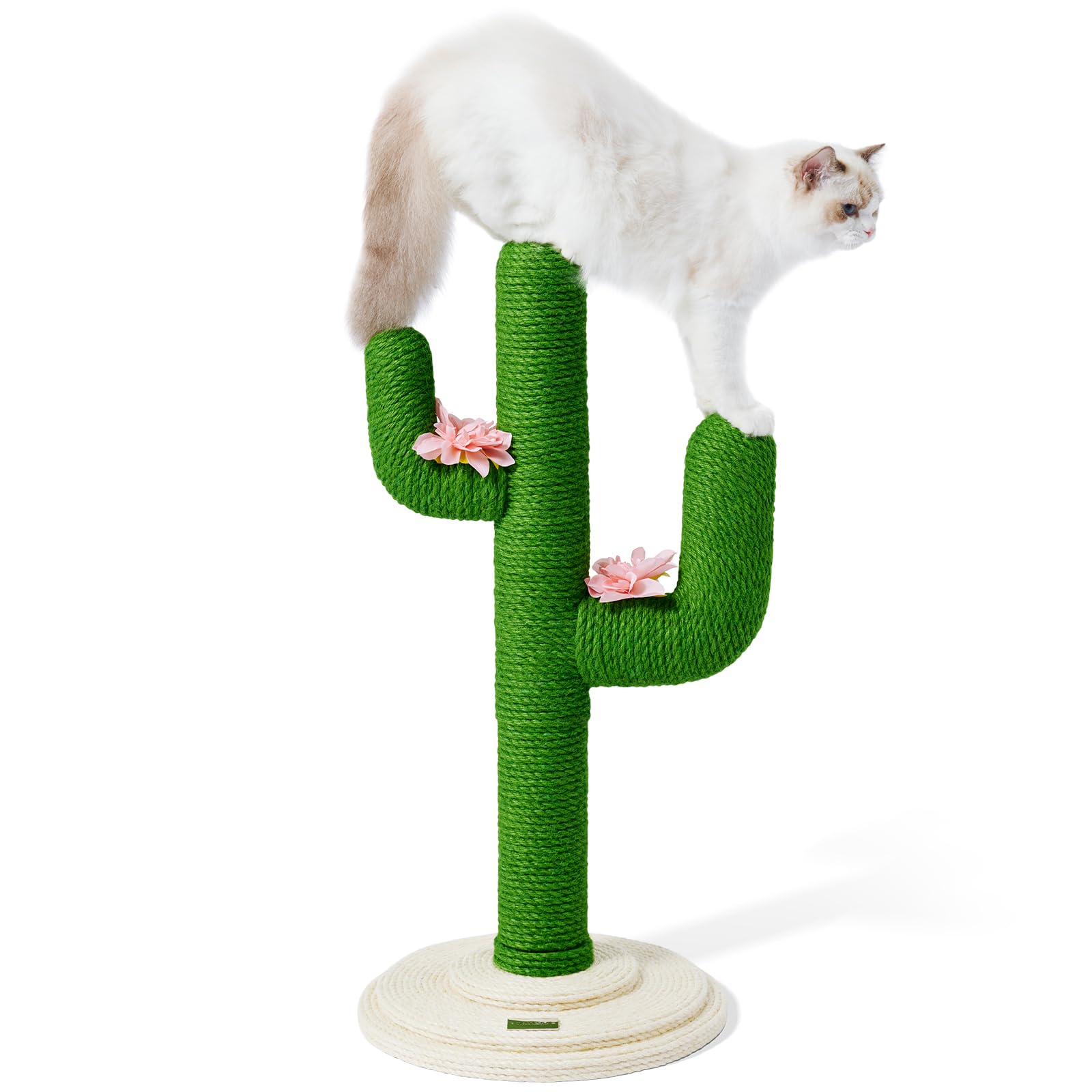VETRESKA Cat Scratching Post, Cactus Cat Scratch Posts for Indoor Adult Cats Kittens, 31.5 Inches Large Sisal Cat Scratcher, Tal
