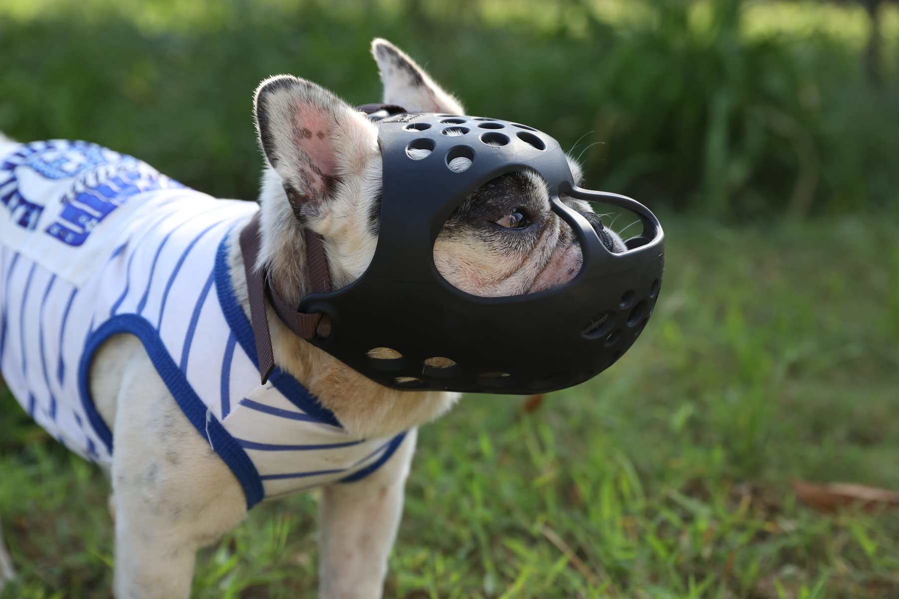Jyhy Short Snout Dog Muzzles,Soft Silicone Adjustable Breathable Bulldog Muzzle For Biting Chewing Barking Training,Ideal For Flat-Faced Dogs (Large/15-17' (Pack Of 1), Black)