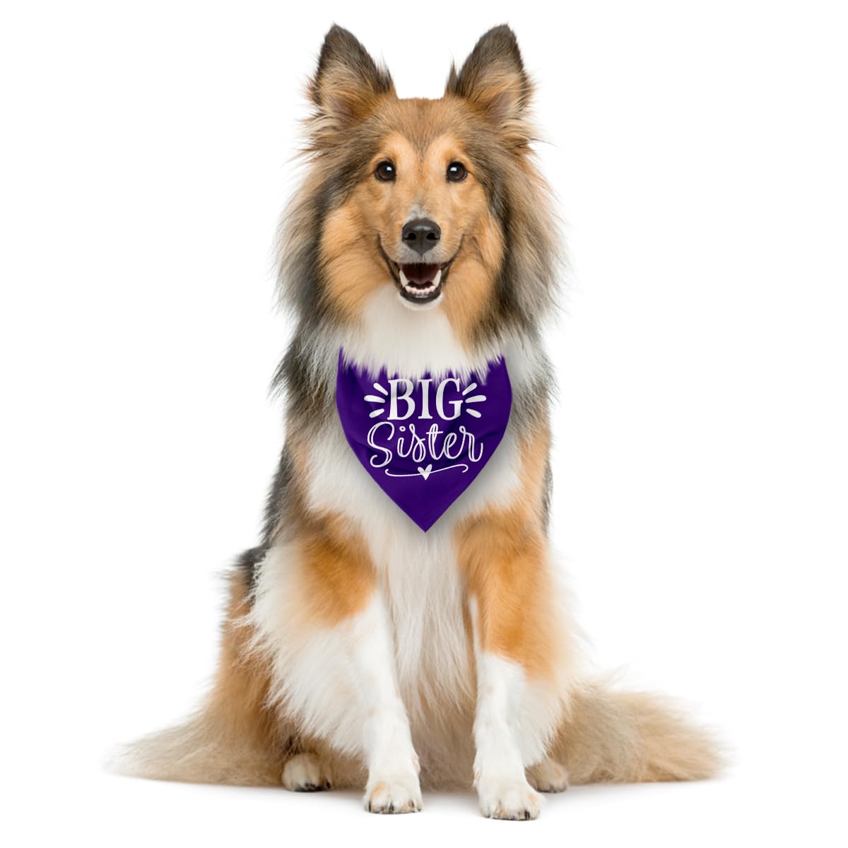 Big Sister Purple Dog Triangle Scarf, Dog Scarf Accessories (L)