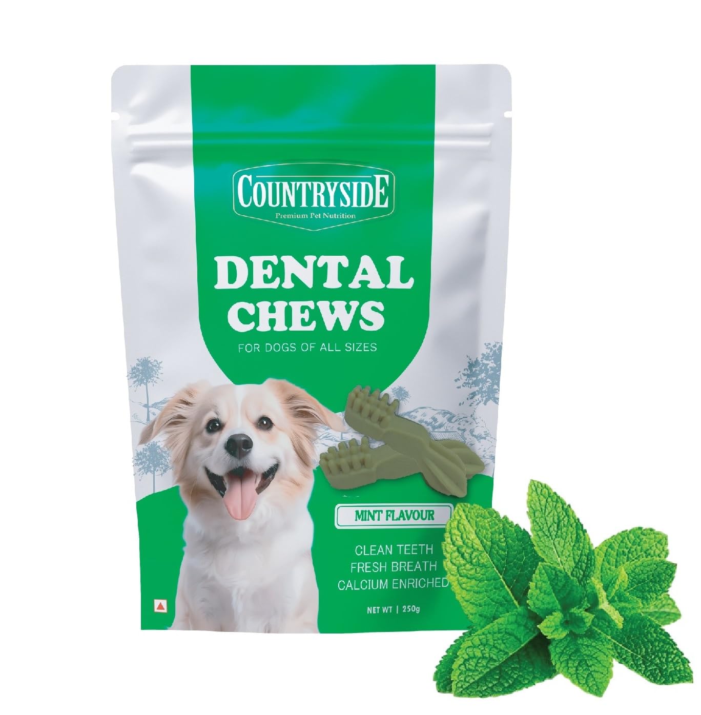 Countryside Dog Dental Chews Treats 250G  Mint Flavor | BrushShaped Chews For Dogs, Oral & Gum Care For Dogs | Fights Plaque &