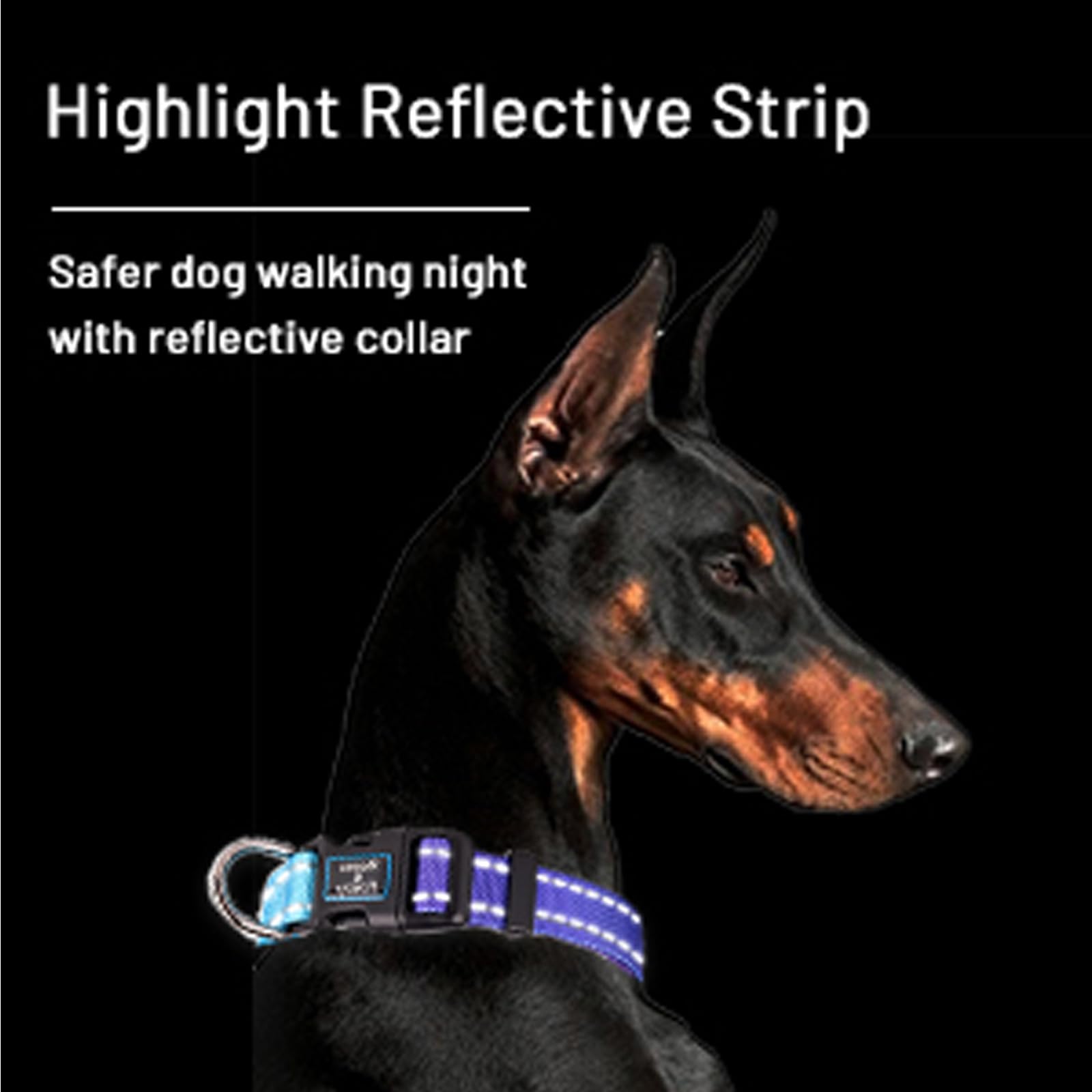 Roses&Poetry Reflective Dog Collar With Gradient Violet, Adjustable Durable Pet Collars For Small Medium Large Dogs (Violet-S)