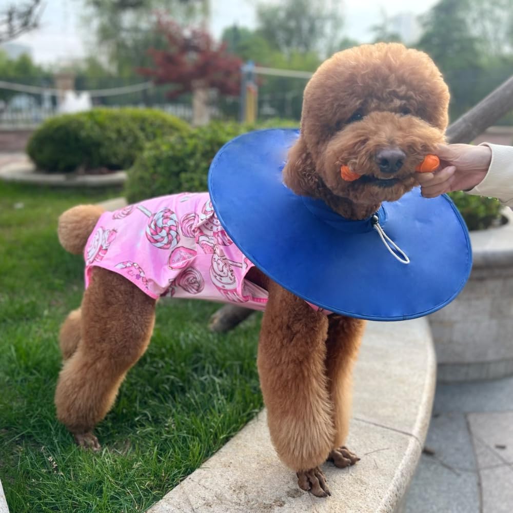 Xqpetlihai Recovery Suit for Dogs