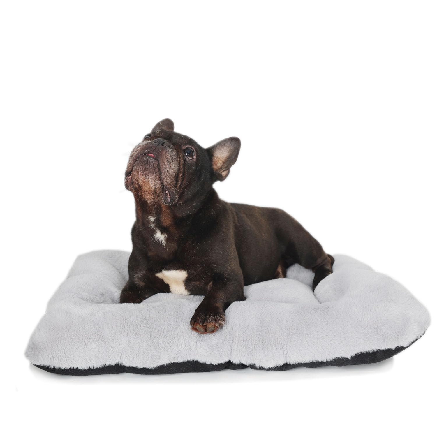 Wrkfree Dog Crate Mat 24 Inch Washable For Small Dogs Comfy Fluffy For 24 Inch Dog Cage Kennel Indoor And Outdoor Use