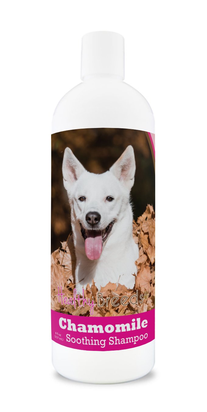Healthy Breeds Canaan Dog Chamomile Soothing Dog Shampoo 8 oz