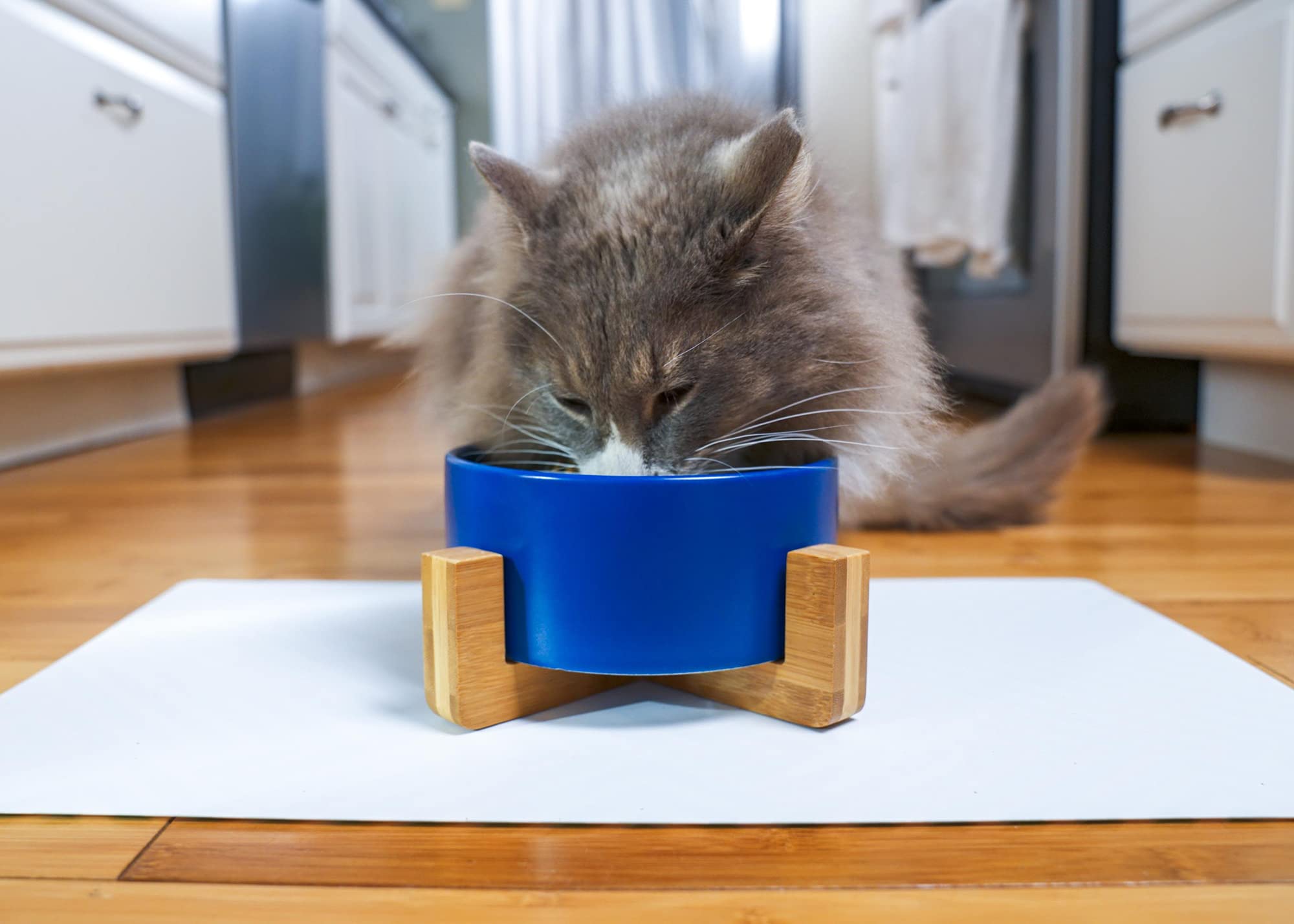 Nat & Jules Small Navy 6 Inch Stoneware Ceramic And Wood Pet Bowl With Stand