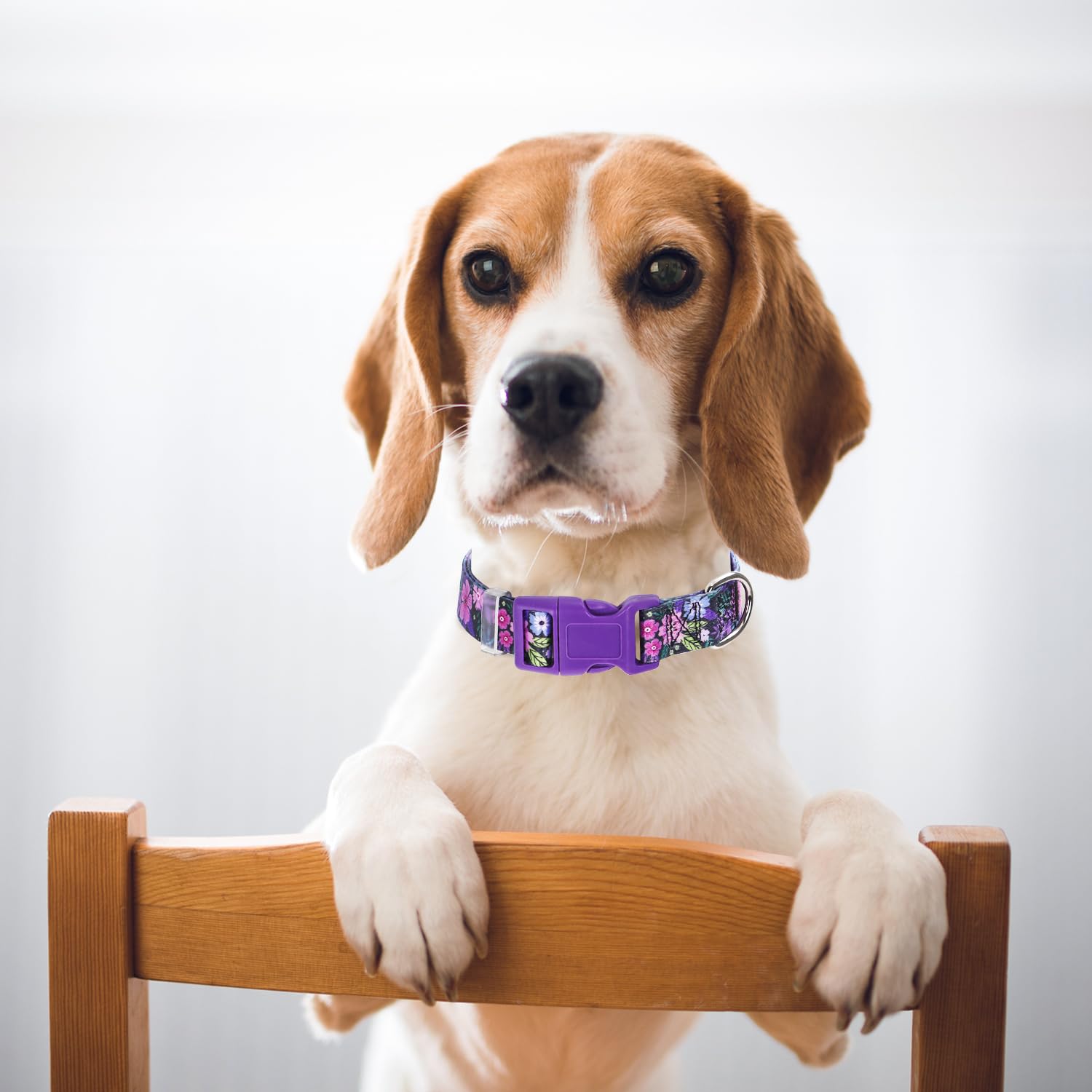 Puppy Collar, Cute Girl Purple Dog Collar With Boho Flowers Patterns, Adjustable Comfy Soft Durable Pet Cat Collar For Xs Small