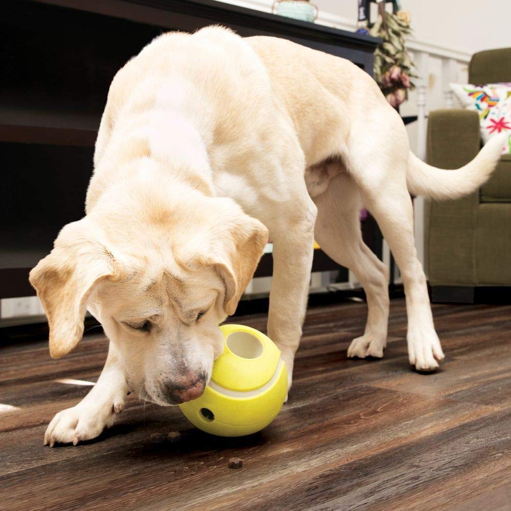 KONG Company 38703435: Rewards Tennis Treat Dispenser Dog Toy, Lg