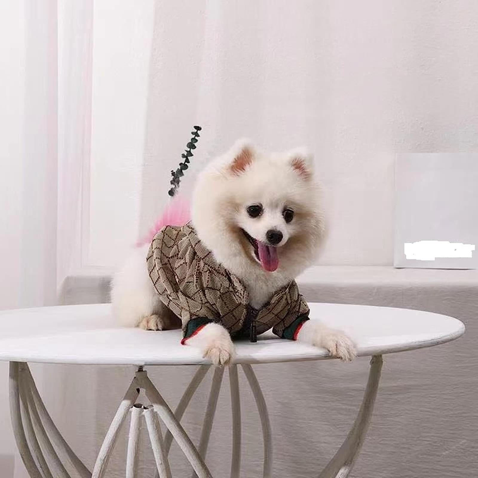 HQREA Dog Hoodie - Luxury Winter Jacket, Zipper Design, Small Size, Cloth Material, Model MINGJ-63704, Color A