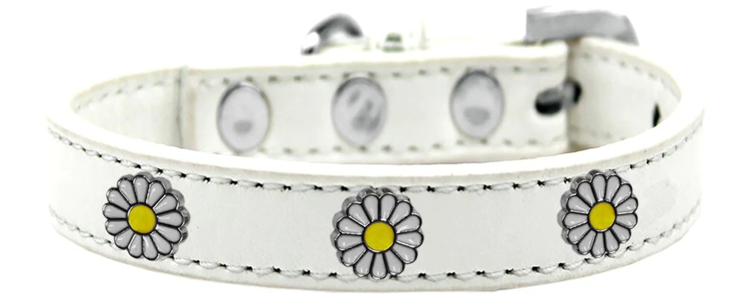 Dog, Puppy and Pet Widget Fashion Collar, "White Daisies" Aqua 18