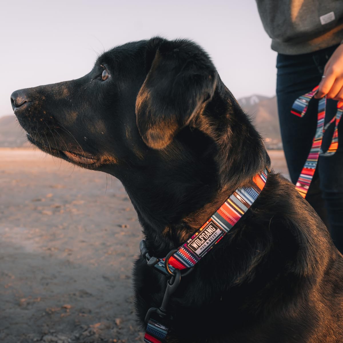 Wolfgang Heavy Duty Dog Leash, Pull-Tested To Over 800 Lbs For Walking & Training, Quetzal Print, Large
