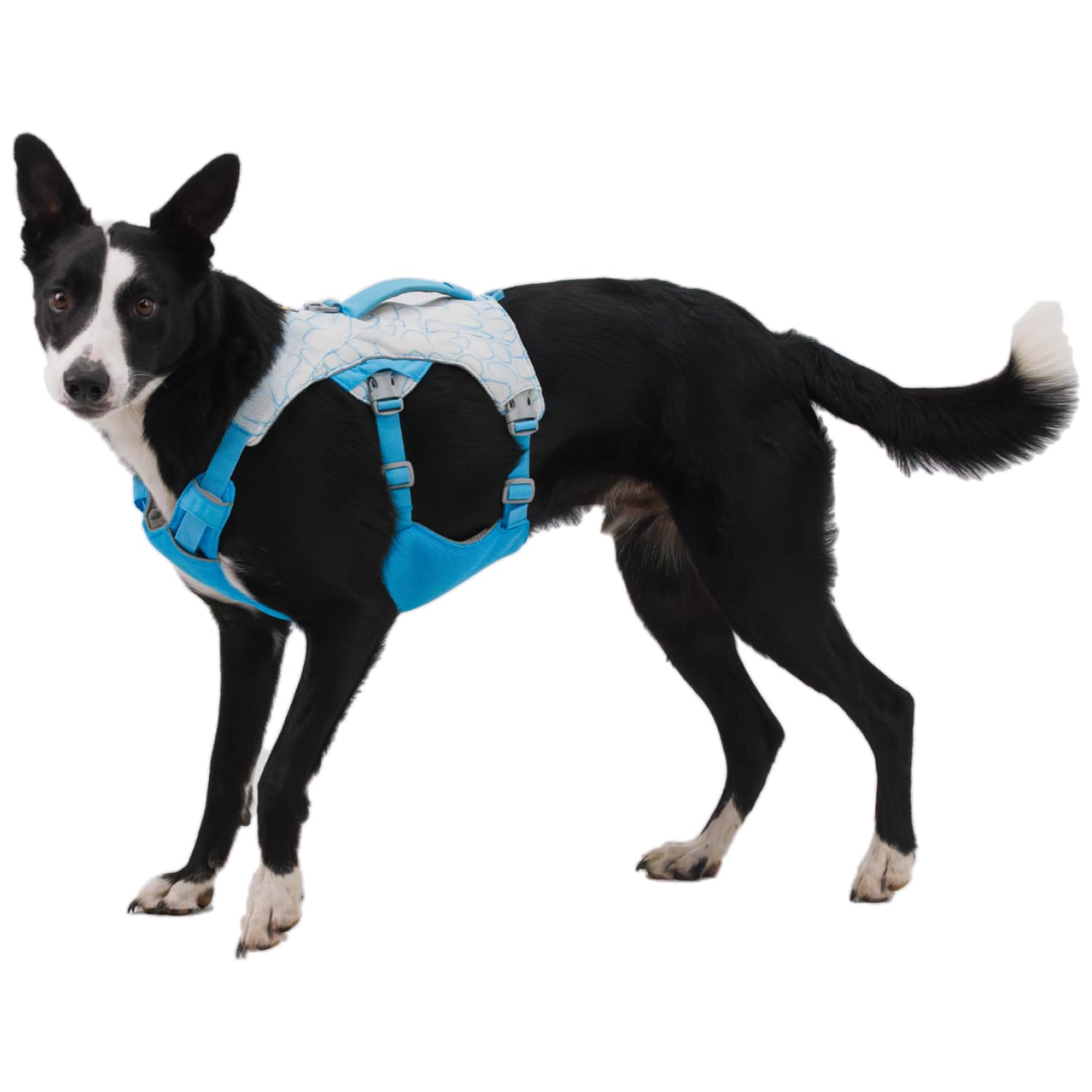 Ruffwear Swamp Cooler Dog Harness, Lightweight Evaporative Cooling, Medium, Graphite Gray, Model 30781-033M