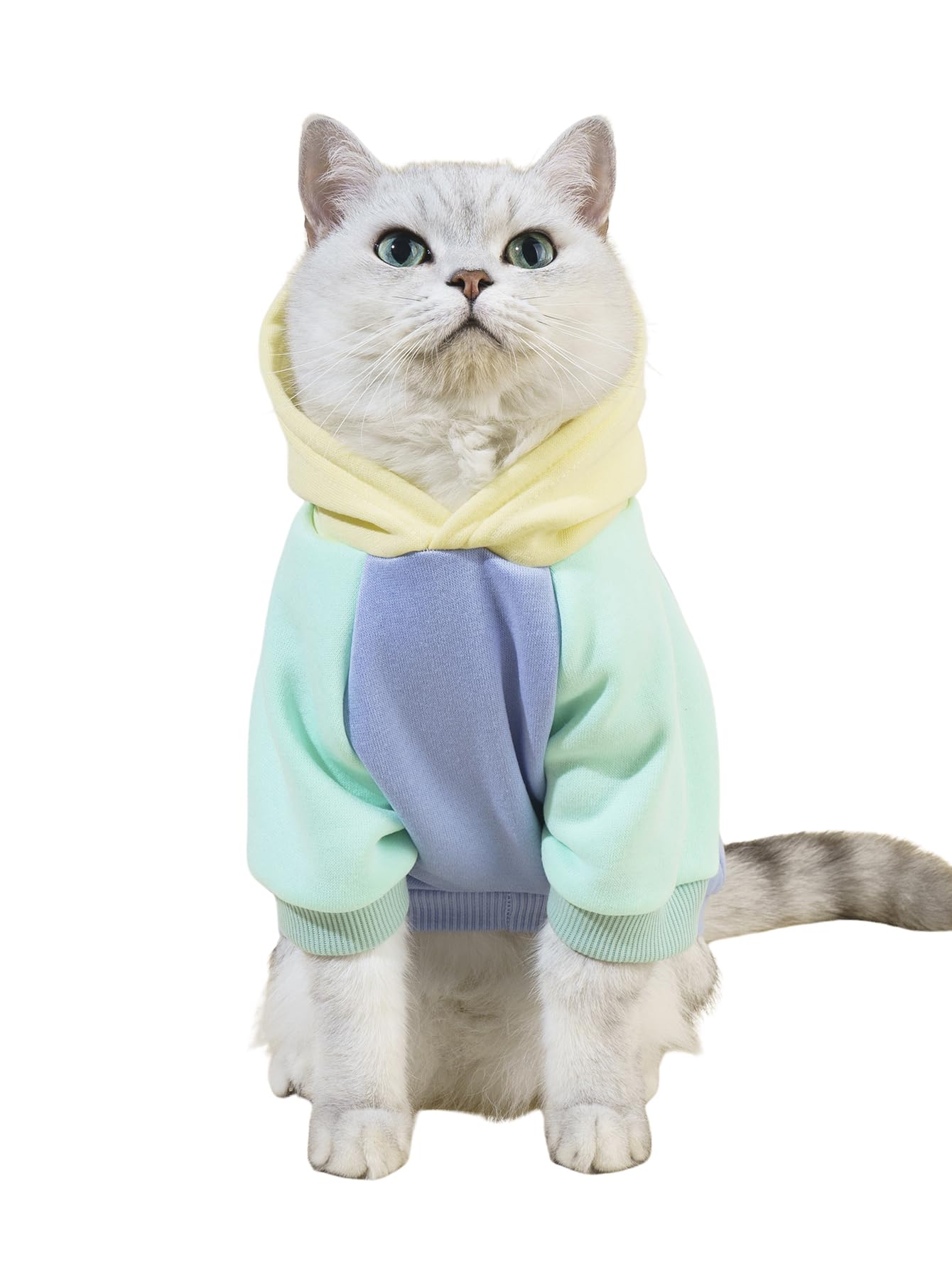 Qwinee Basic Dog & Cat Hoodie - Yellow & Blue X-Large & Medium Warm Jacket, Cat Apparel, Dog Shirt & Clothes For Puppy & Kitten