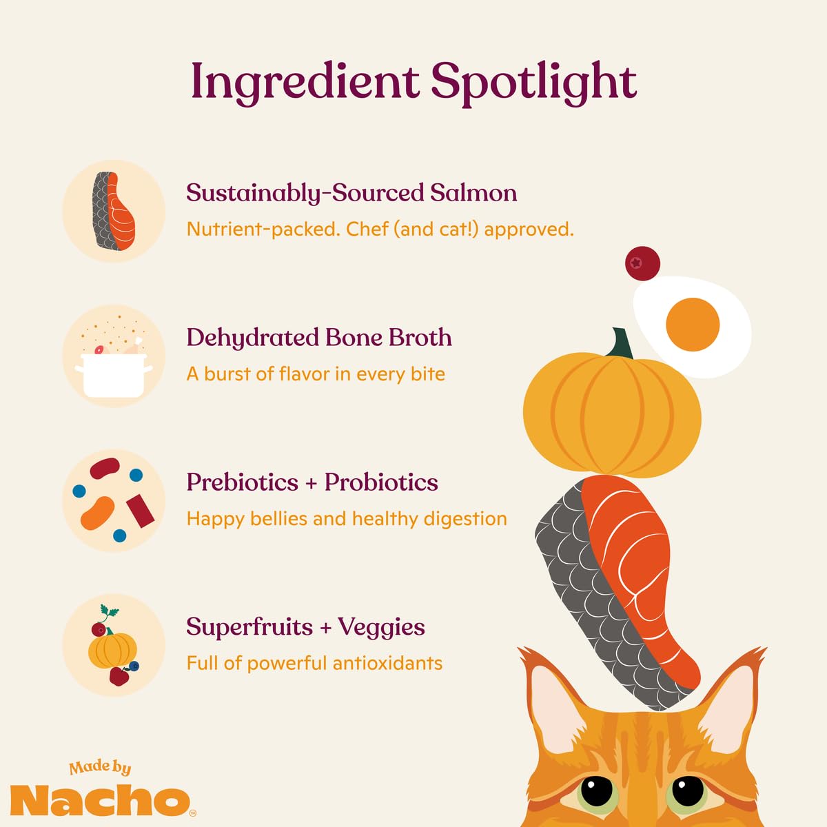 Made by Nacho Bone Broth Infused Dry Cat Kibble - Sustainably Caught Salmon and Pumpkin - Premium Grain-Friendly Cat Food 4lb Ba