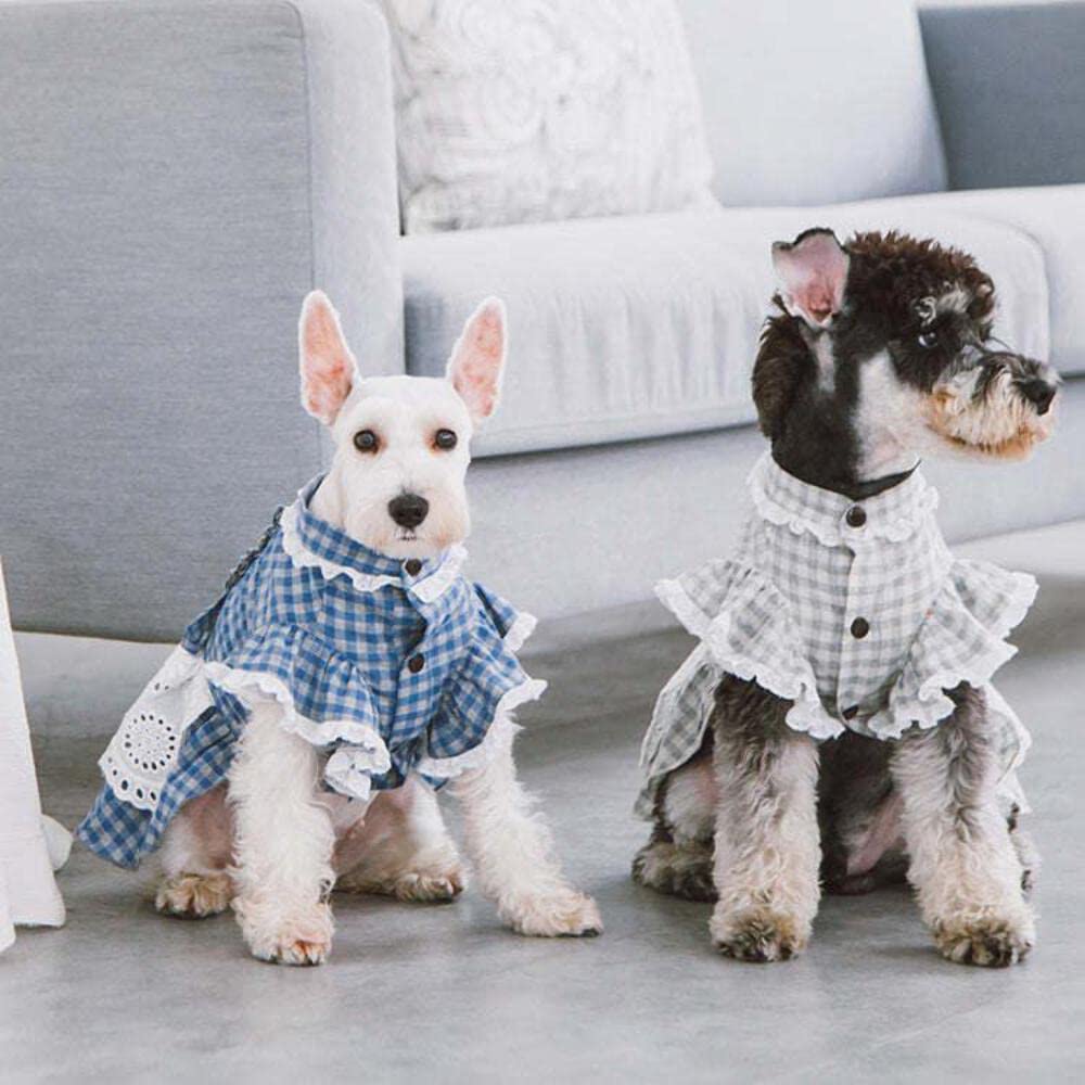 Touchdog 'I Love Poochi' Classical Fashion Dog Dress - Retro Designer Pet Dress Featuring Accented Knots And Ruffled Details - Dog Clothes For Small And Medium Dogs