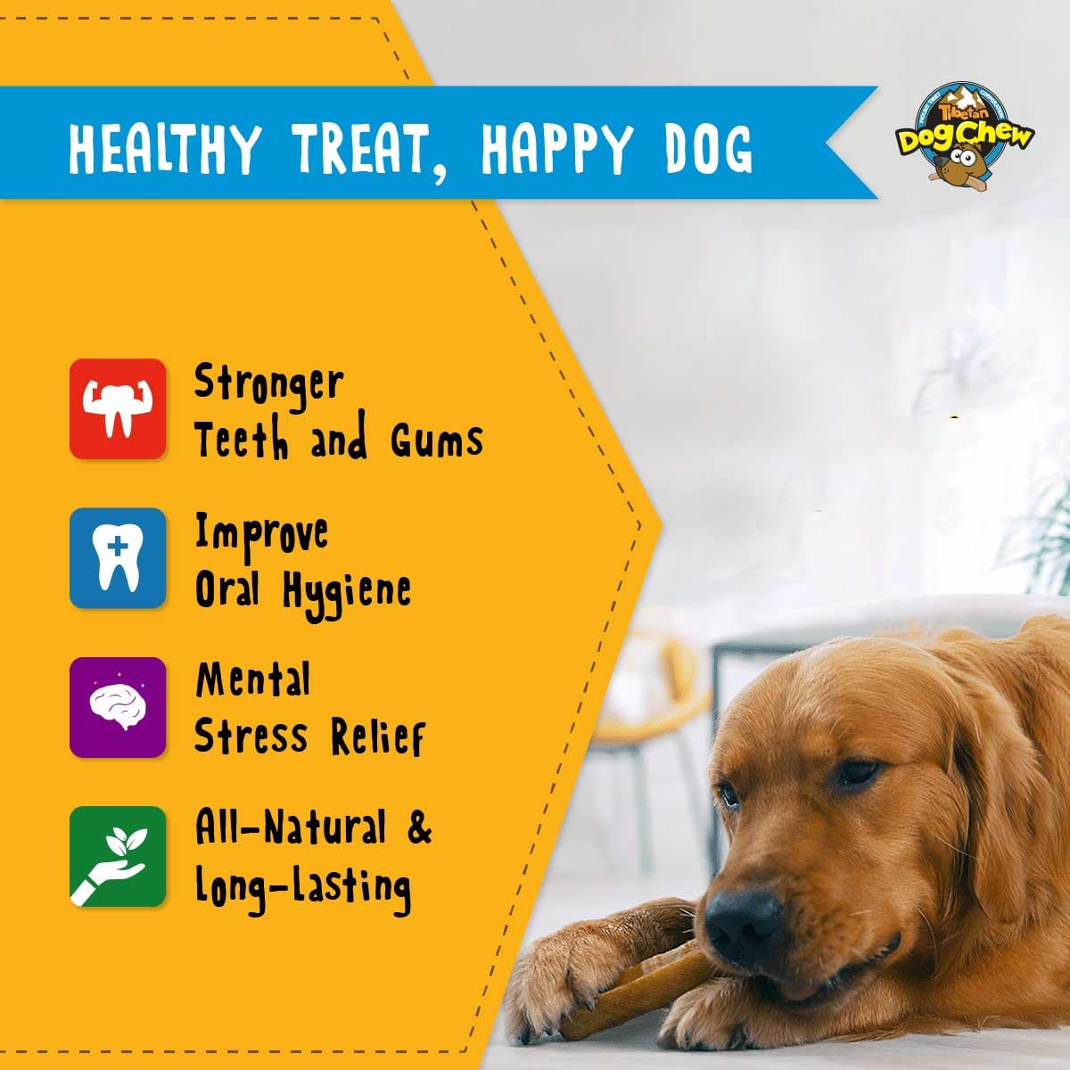 Tibetan Dog Chew Yak Cheese Sticks - Natural Handmade Treats for Extra Large Dogs, Long-Lasting and Easy to Digest with No Addit