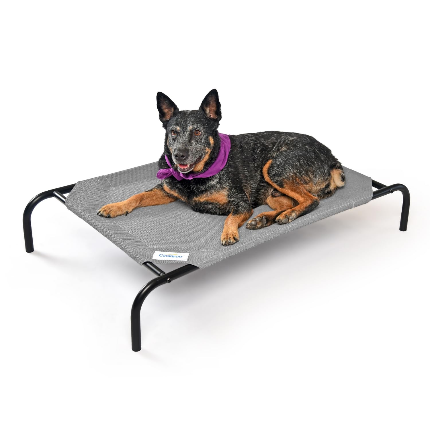 Coolaroo The Original Cooling Elevated Dog Bed, Indoor And Outdoor, Medium, Grey