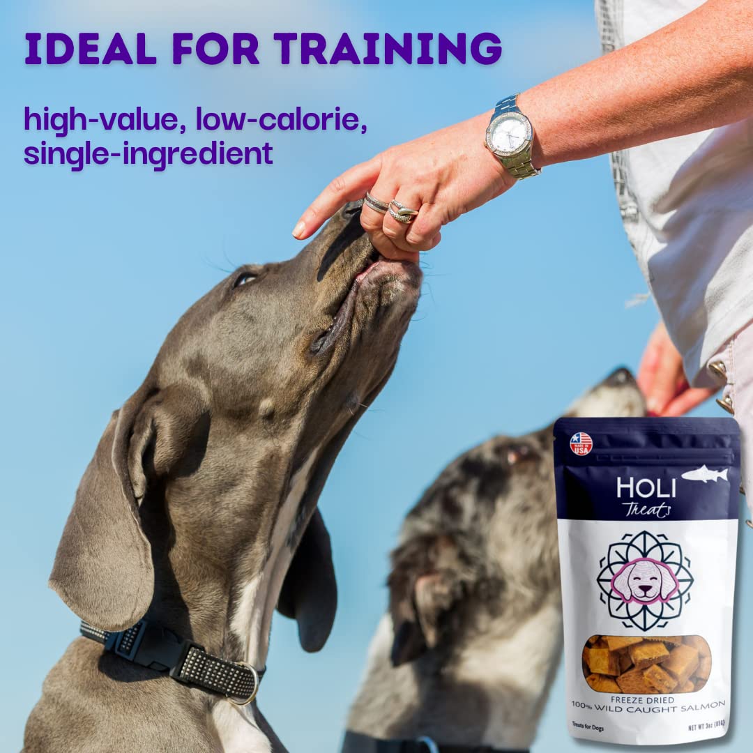 HOLI Freeze Dried Salmon Dog Treats - with Omega 3 and 6 Fish Oil - All Natural Dog Treats - Human Grade - Wild Caught Skin on S