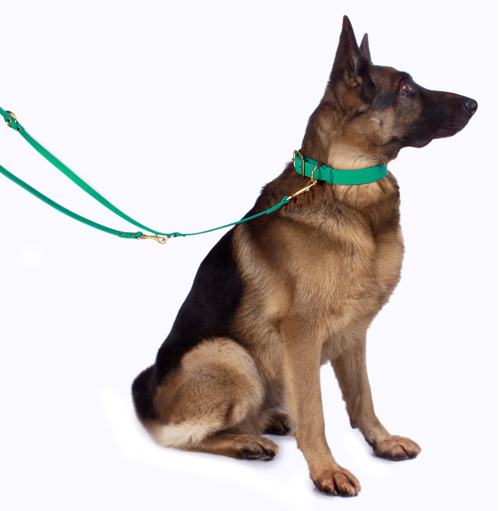 Bronzedog Leather Dog Collar With Metal Buckle Durable Basic Pet Collars For Small Medium Large Dogs (19-21 Inch (Pack Of 1), Dark Brown & Gold Buckle)