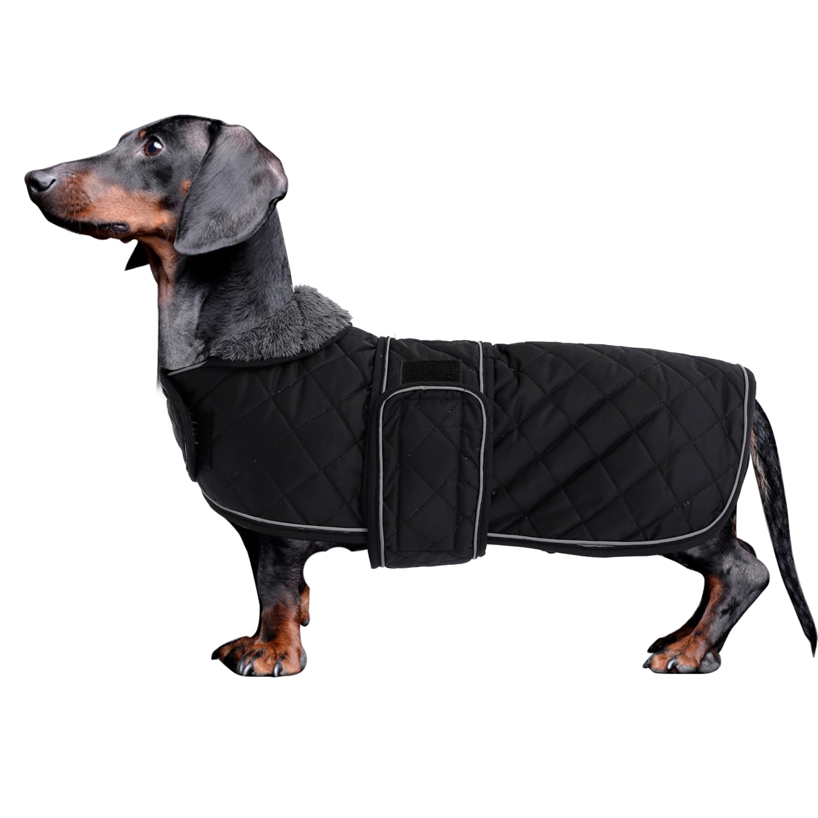 Morezi Dachshund Coats, Dachshund Coat, Coat For Dachshund, Dog Winter Coat With Padded Fleece Lining, Outdoor Dog Apparel With Adjustable Bands - Navy - Xs