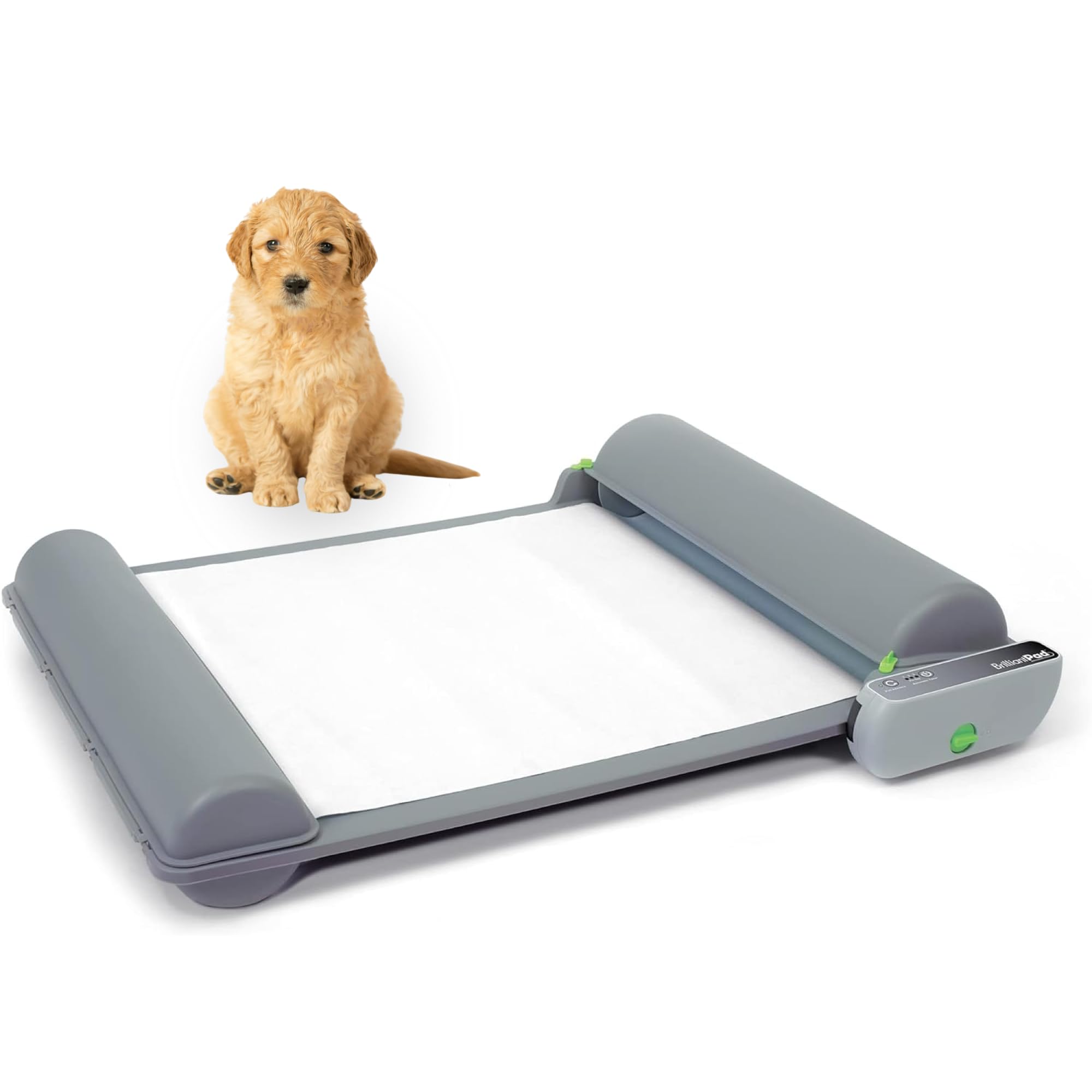 BrilliantPad Indoor Dog Potty for Small Pets, Basic | Automatic Self Cleaning with Odor Control, Puppy Training Alternative to G