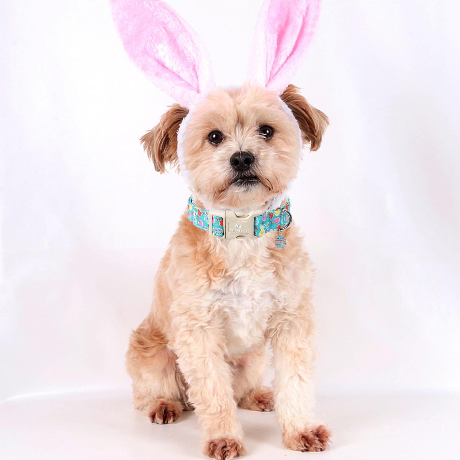 Mr.Chubbyface Easter Dog Collar, Bunny Eggs Print Dog Collars,Soft Durable Adjustable Colorful Eggs Pet Collar, Cute Easter Coll