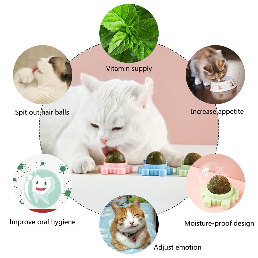 Kayina Catnip Wall Ball, 3-Piece Cat Toys, Edible Cat Licking Toy, Cat Chew Toy, Teeth Cleaning Cat Bite Toy, Rotatable Indoor C