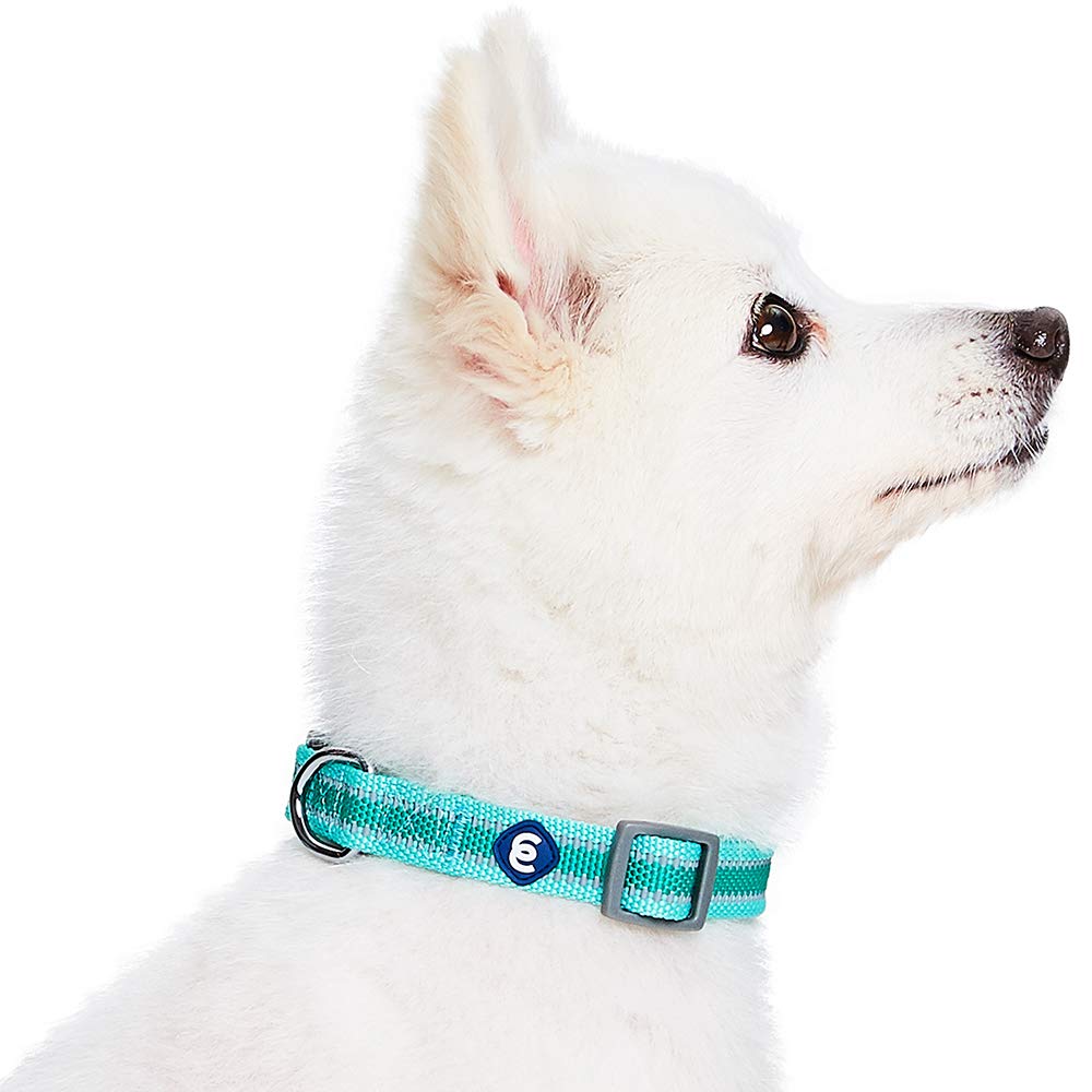 Blueberry Pet Essentials Reflective Back To Basics Adjustable Dog Collar, Minty Green, Medium, Neck 14.5'-20'