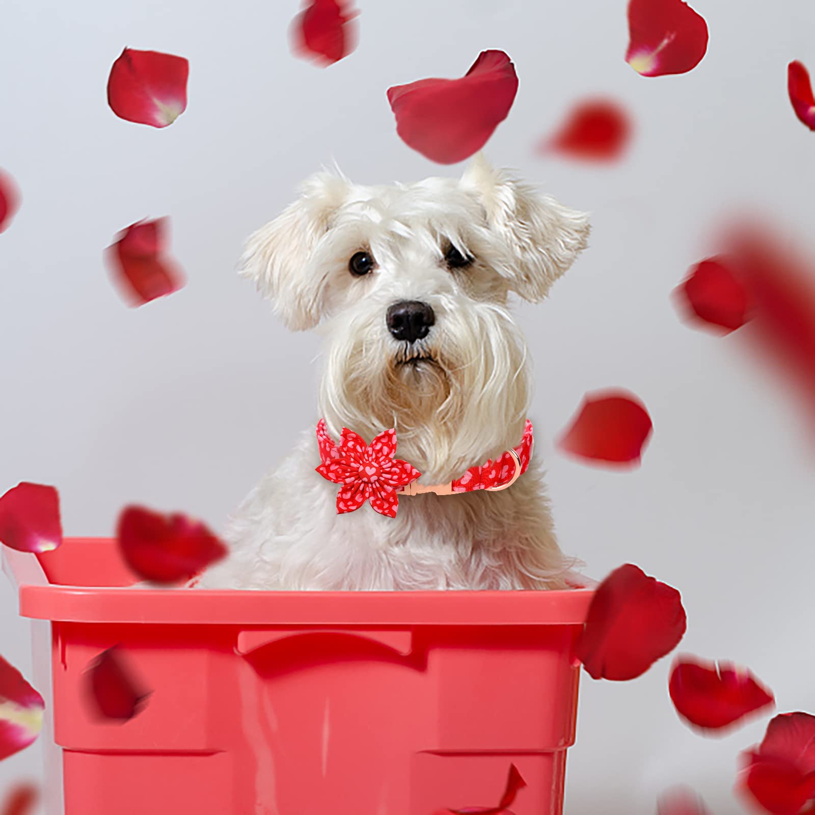 Babole Pet Valentine'S Day Dog Collar With Flower Tie, Pink Red Love Male Dog Collar With Safety Metal Buckle Adjustable Puppy Collars For Small Medium Large Boy & Girl Dog,Xl-Neck 16'-26'