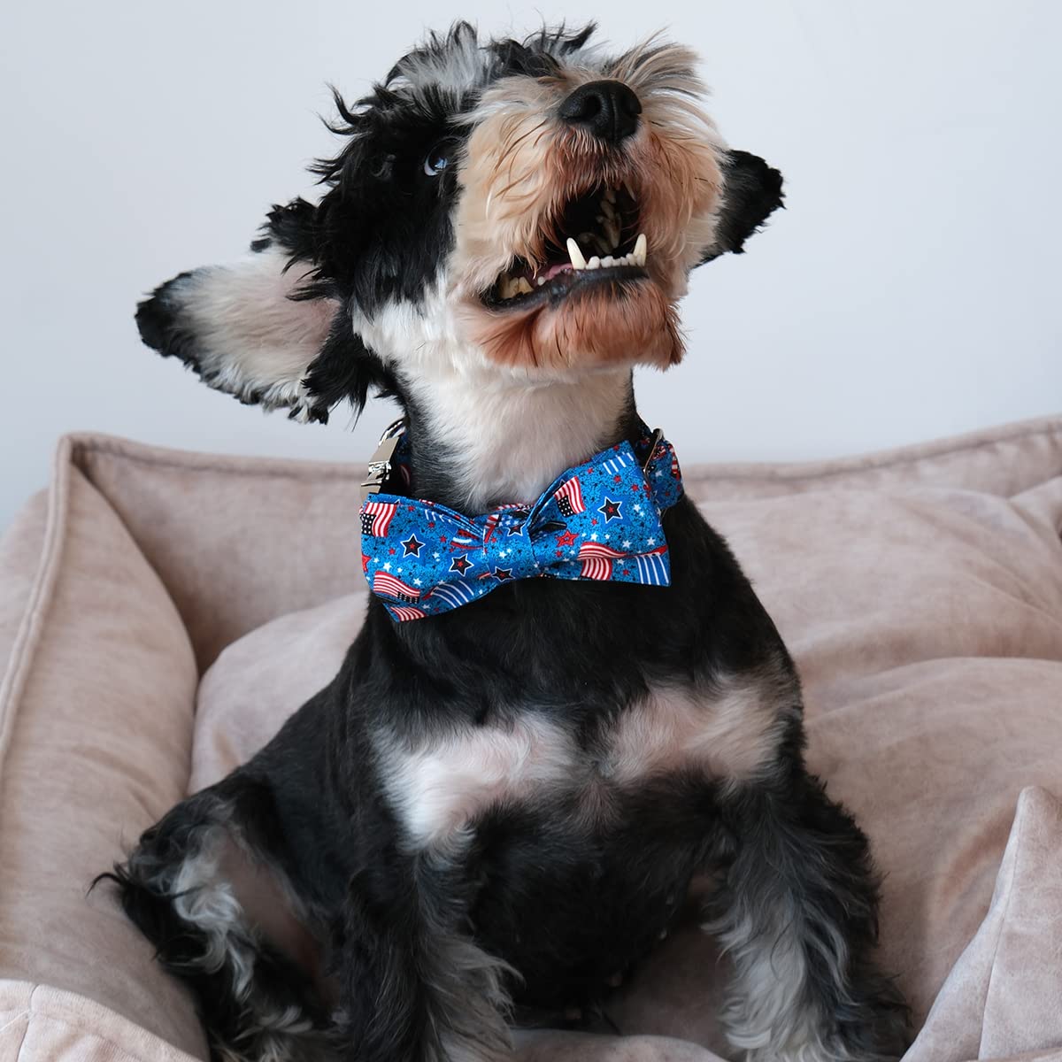 Up Urara Pup Patriotic Dog Collar With Bow Tie, 4Th Of July Bowtie Dog Collar, American Flag Collar For Puppy Boy Girl Dog Or Ca