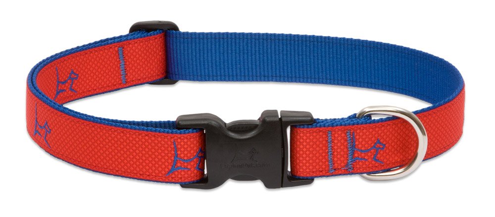 LupinePet Club 1 Derby Red 16-28 Adjustable Collar for Large Dogs