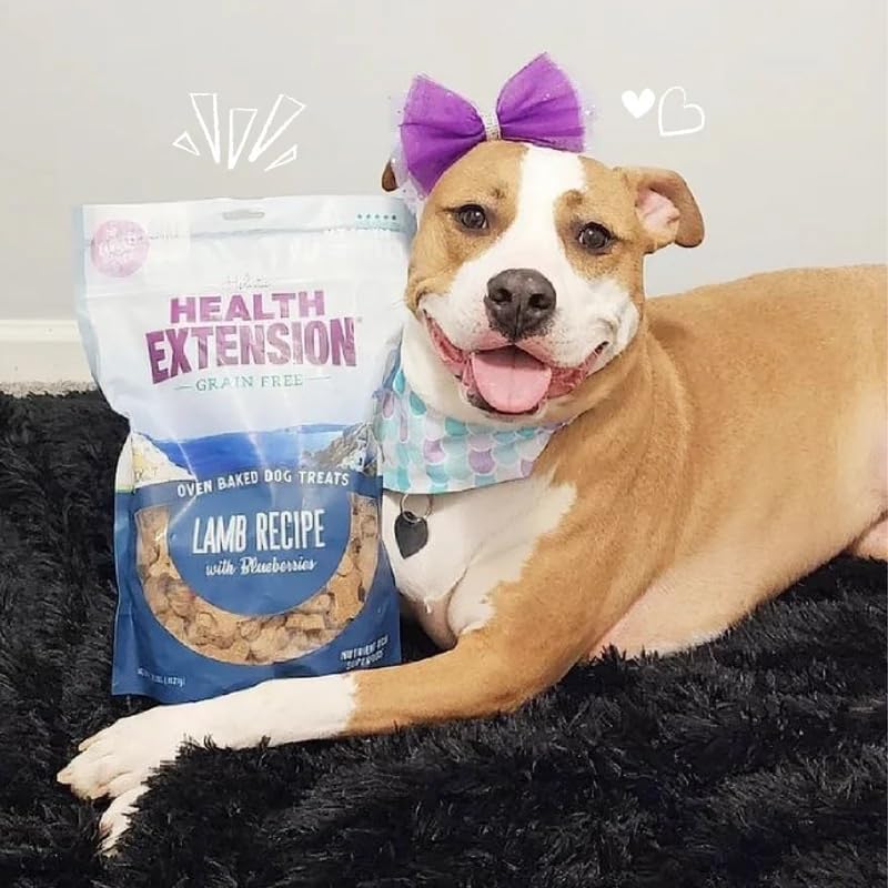 Health Extension Oven-Baked Dog Treats, 6oz (170g), Lamb & Blueberry Recipe - Gluten & Grain-Free, Superfood-Infused, Crunchy Bi