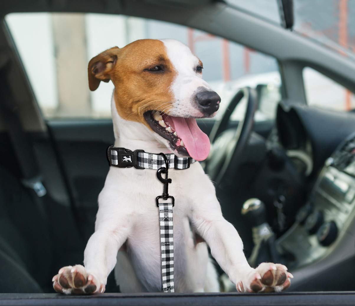 Poypet 5 Feet Dog Leash - 2 Cushioned Handles - Functional Car Seat Belt (Grid, L)