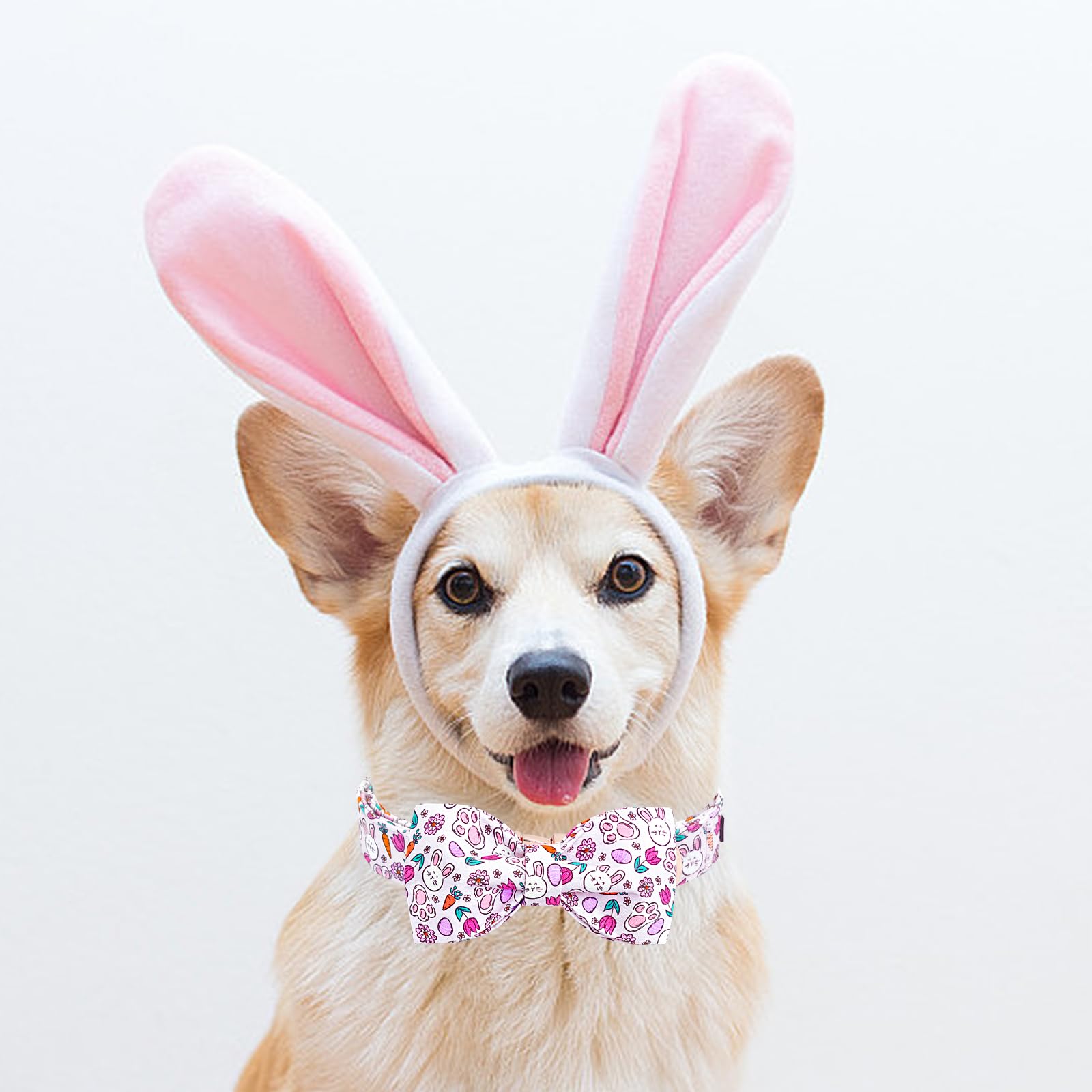 Lionheart Glory Dog Bow Collar Easter Day Dog Collar For Medium Dogs,Easter Rabbitseggs Colorful Dog Collars With Bowtie Spring