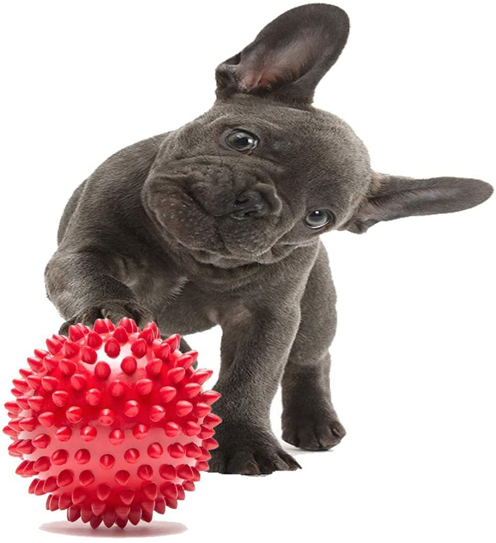 THE DDS STORE Rubber Stud Spike Hard Ball for Medium to Large Dogs & Pets (Medium)  Color May Vary