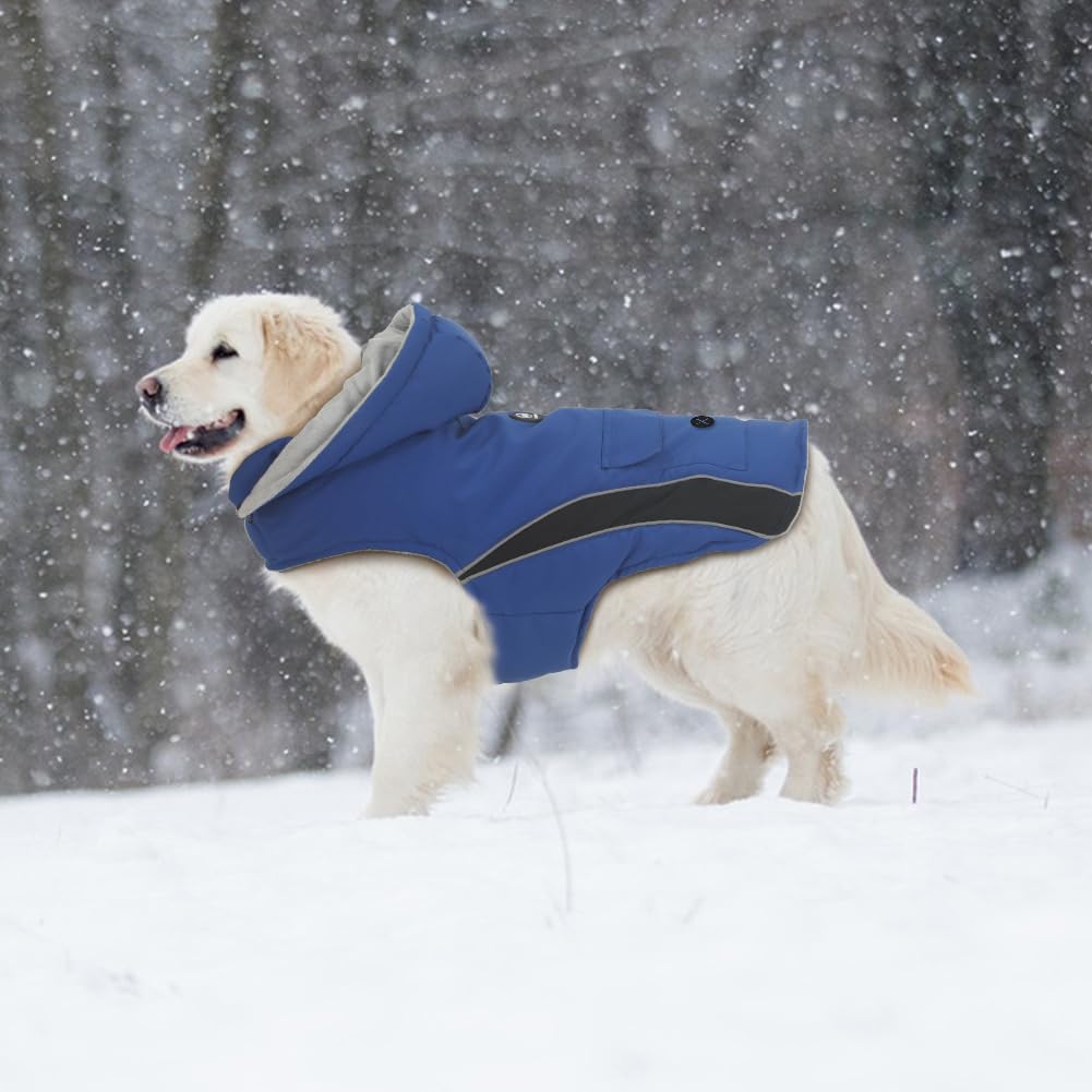 Emust Dog Jacket - Cozy Winter Vests For Dogs, Windproof, Reflective, L/Blue