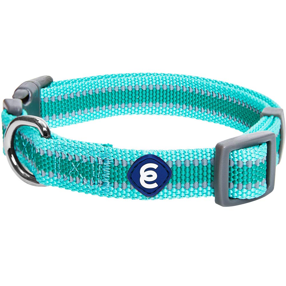 Blueberry Pet Essentials Reflective Back To Basics Adjustable Dog Collar, Minty Green, Medium, Neck 14.5'-20'