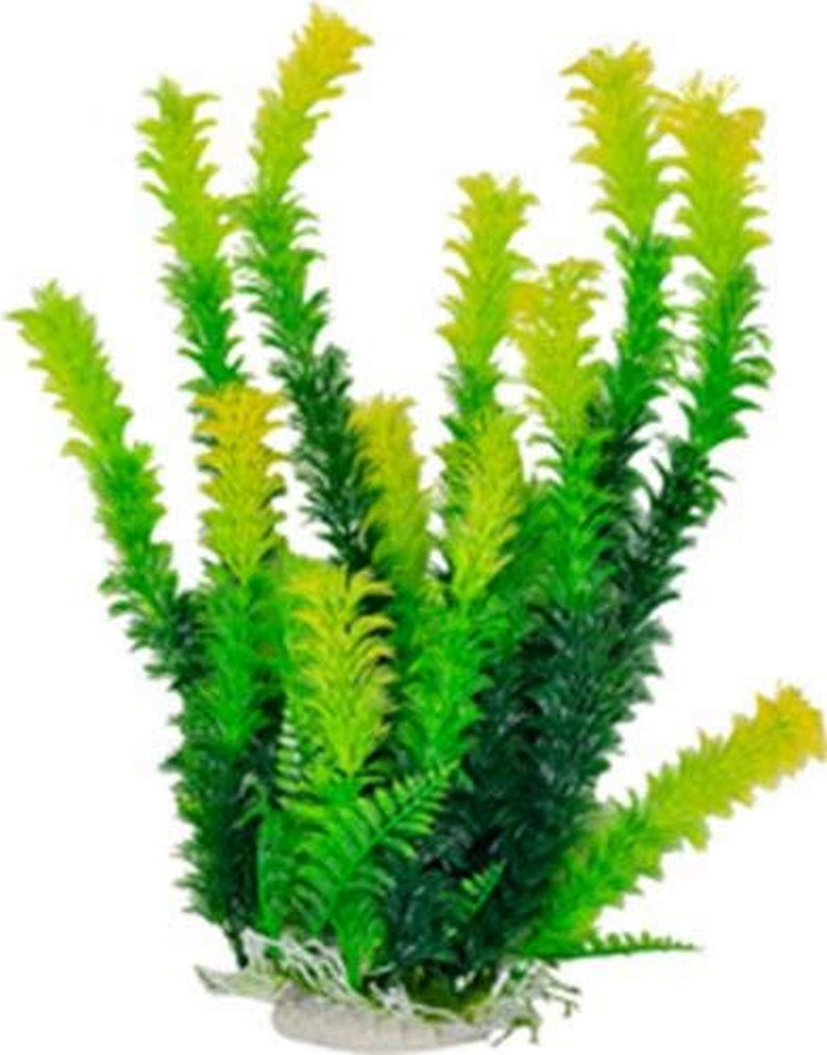 Aquatop Aquatic Supplies Bushy Plant 12In Green 36
