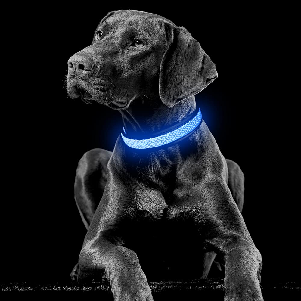 Yfbrite Light Up Dog Collar, Rechargeable Led Dog Collar, Flashing Dog Collar, Adjustable Reflective Dog Collar Safety Glowing At Night (Blue, Large)