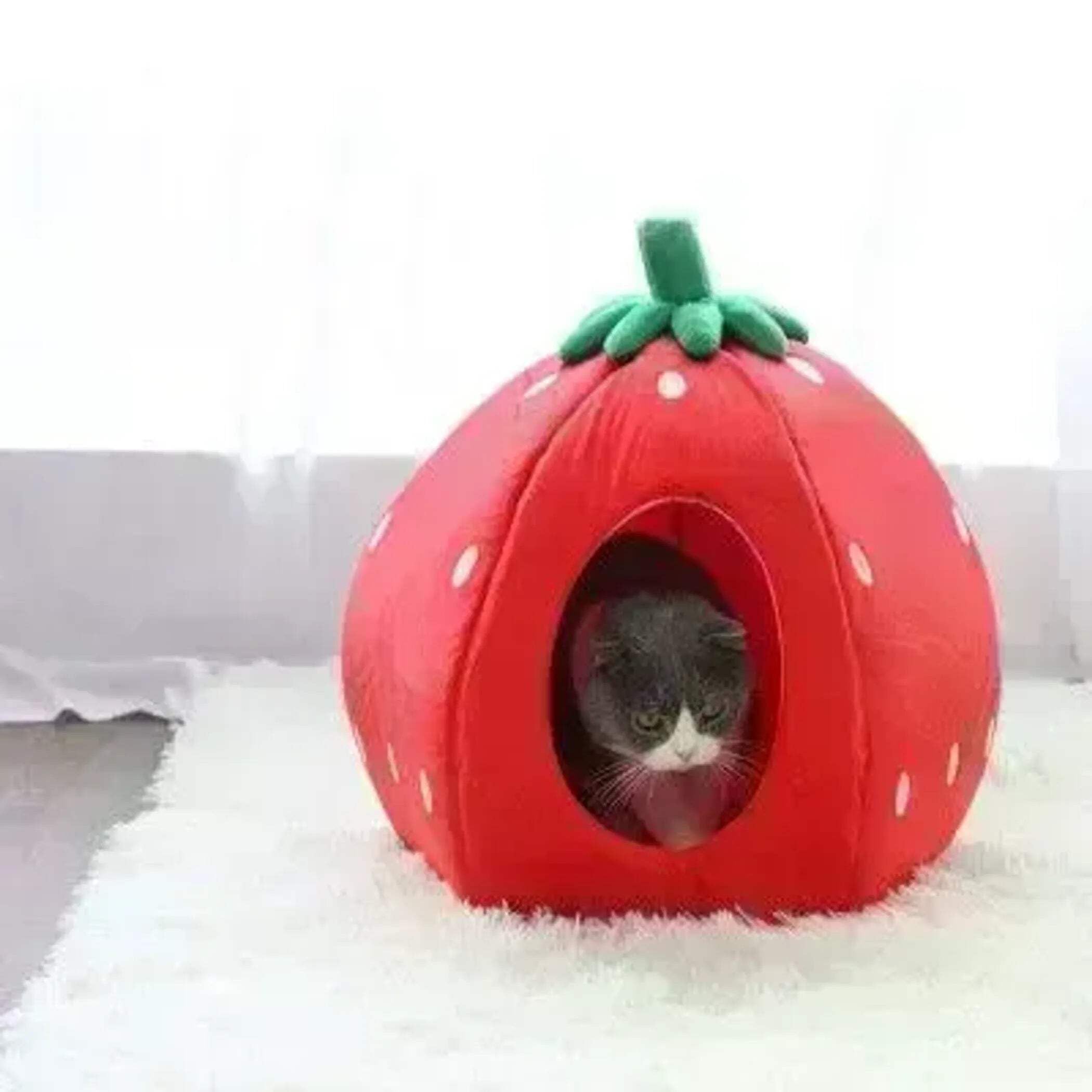 YML Strawberry Pet Bed House for Cats, Dogs, Kittens, Puppies, Rabbits, Medium, Red