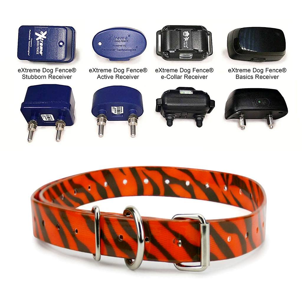 Tiger 3/4' Heavy Duty Tpu Coated Nylon Replacement Dog Collar Strap With Metal Buckle For Shock, Bark And Electric + Containmen