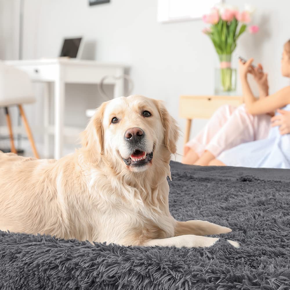 Petami Waterproof Dog Blanket For Medium Large Dogs, Calming Fleece Cat Blanket, Couch Protector Washable Sherpa Faux Fur Pet Throw For Puppy, Soft Reversible Leakproof 40X60 Gray